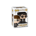 Pop! Harry Potter